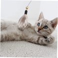 thumbnail image 5 of 6 piezas de juguetes para gatitos, reemplazo de pájaros, perros, gatitos, repuestos interactivos, cabezales de repuesto, juguete de burla para exteriores, palos para mascotas ER, 5 of 5