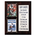 thumbnail image 2 of Troy Polamalu Pittsburgh Steelers 8'' x 10'' Plaque, 2 of 10