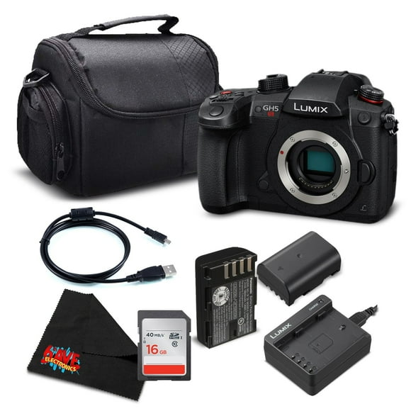 Panasonic Lumix DC-GH5S Mirrorless Micro Four Thirds Digital Camera DC-GH5S - Silver level Bundle
