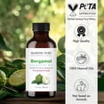 thumbnail image 3 of Majestic Pure Bergamot Essential Oil - 100% Pure and Natural, Premium Grade Bergamot Oil, 1 fl oz, 3 of 8