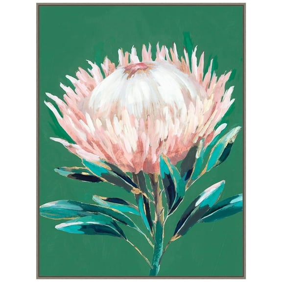 Amanti Art Single King Protea Framed Canvas Wall Art Print