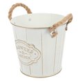 thumbnail image 3 of Miangastore Iron Flower Bucket Planter Iron Bucket Patios 1Pack 5.9X5.5X4.3In, 3 of 9