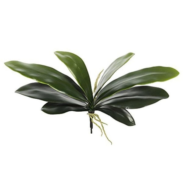 Vickerman Vickerman 8 Pouces Feuille d'Orchidée Artificielle Verte avec 8 Feuilles