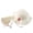2# White, variant on Baseball Hats, Sun Tourism Hat Hat Flower Girls 28 and Set Hat Children Bag Age Sun Baseball Caps, 1# Pink