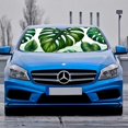 thumbnail image 2 of Awypu Tropical Leaf Beautiful Green Tropical Palm Tree Leaves Car Shades for Front Windows 51.18*27.59 in, 2 of 7