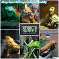 thumbnail image 6 of Jlenoveg Digital Terrarium Thermometer and Hygrometer with Probe for Reptiles, Turtles, and Aquariums, 6 of 6