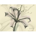 thumbnail image 2 of Koetsier, Albert 24x19 Black Ornate Wood Framed with Double Matting Museum Art Print Titled - Lily in Pink on Beige, 2 of 4