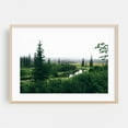 thumbnail image 2 of Alaska Interior - Alaska Photography Forest Nature Wilderness Woodland Landscape Scenic Countryside Unframed Wall Art Print 20 x 28 inches, 2 of 7