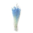 thumbnail image 1 of Toystoory Flores secas portátiles, plantas artificiales ligeras, flores naturales, ramo de hierba seca para sala de estar, boda, hogar Decoración del hogar Azul Toystoory HA073024-04, 1 of 6