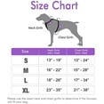 thumbnail image 2 of rabbitgoo Harnais pour Chien Anti-Traction Harnais pour Animal avec 2 Pinces pour Laisse Gilet pour Chien Rembourré Doux Ajustable Gilet Oxford Réfléchissant Anti-Étranglement pour Animal avec Poignée de Contrôle Facile pour Grands Chiens Noir G, 2 of 10
