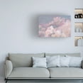 thumbnail image 3 of Lisa Audit 'Daydream Pink 01' Canvas Art, 3 of 3