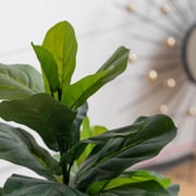 A&B Home 35 Artificial Fiddle Leaf Tree with Planter