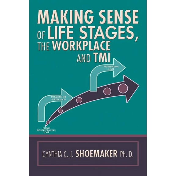 Making Sense of Life Stages, the Workplace and Tmi (Paperback)