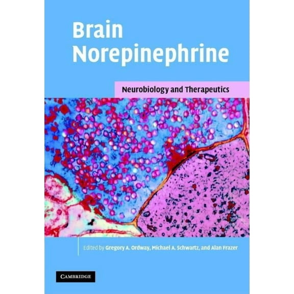 Brain Norepinephrine, (Hardcover)
