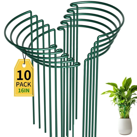 10-Pack Heavy Duty Plant Support Rings - 10" Wide x 16" Tall Metal Garden Stakes with Green Coating for Tomatoes, Roses & Flowers - Half-Round Vine Support Frame