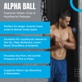 thumbnail image 4 of Pelota de masaje terapéutico Tune Up Fitness Alpha Ball, grande, 4 of 8