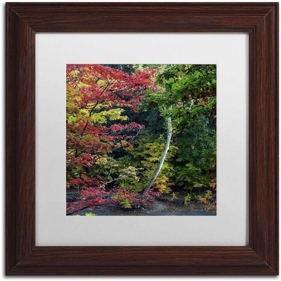 Trademark Fine Art "All the Colors of October in Ohio" Canvas Art by Kurt Shaffer, White Matte, Wood Frame