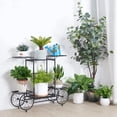 thumbnail image 4 of Metal Plant Stand Indoor: 6 Tier Garden Cart Flower Planter Pot Holder Parisian Style Wrought Iron Display Shelf Rack Decorating Garden Home  Condo Porch, 4 of 7