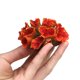 thumbnail image 1 of 1 pieza de adorno de coral de poliresina, decoración de coral para acuario, 3 1/10" x 2 1/3" x 1 9/10" para decoración de acuario de pecera, 1 of 5