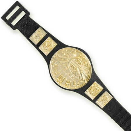 European Championship Belt for WWE Wrestling Action (Best Looking Wrestling Belts)