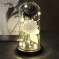 thumbnail image 3 of Dos Rosas, La Bella y La Bestia, rosa roja en una cúpula de cristal sobre una Base de madera, lámpara rosa para el Día de San Valentín, regalo de Navidad, decoración del hogar, 3 of 6