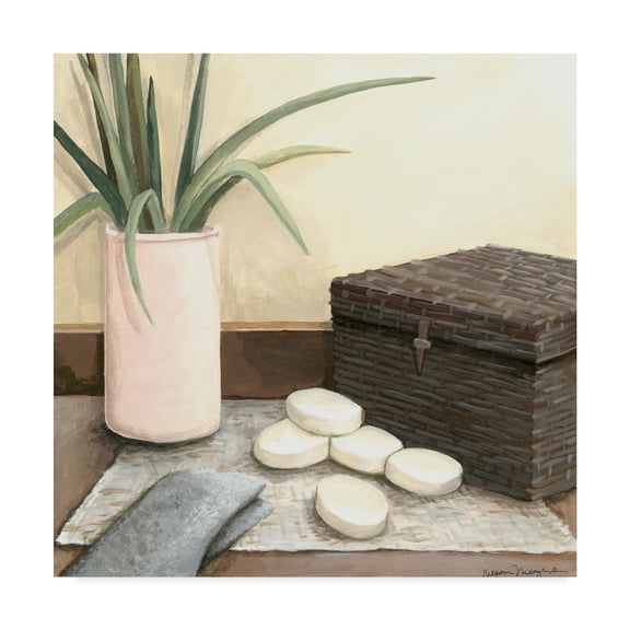 Trademark Fine Art 'Spa Retreat IV' Canvas Art by Megan Meagher