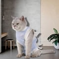thumbnail image 4 of Lomubue Cat Recovery Clothes Anti-scratch Cat Sterilization Surgery Suit Vest Weaning Clothes Protective Clothing for Puppy, 4 of 10