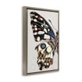 thumbnail image 3 of Stupell Industries French Country Spotted Butterfly Wing Brown Floating Frame Canvas Art, 17 x 25, by Melissa Wang, 3 of 8