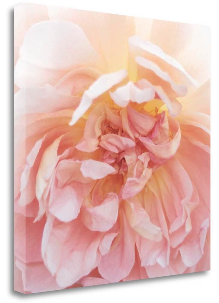 fine canvas art fine canvas art