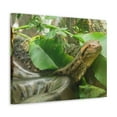 thumbnail image 2 of Anaconda Close Up Look Scary Anaconda Outside Wall Art Ready To Hang Unframed, 2 of 18