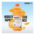 thumbnail image 4 of Bebida hidratante Gatorlyte sabor naranja 591 ml, 4 of 4