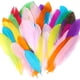 thumbnail image 1 of 50 Pieces Set Natural Colorful DIY Feather Craft Toy Pluma Natural de Animal Material Manual DIY Decoración Juguete para Niños, 1 of 2
