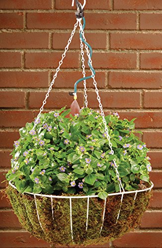 Orbit Hanging Basket Drip Irrigation Watering Kit w/ Hose-End Timer-56318