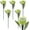 Green, variant on 6Pcs Tulip Solar Garden Lights Tulips Solar Outdoor Lights Decorative LED Solar Flower Lights Waterproof Solar Stake Lights Multi Color Landscape Lights for Garden, Patio, Backyard, Lawn Decoration