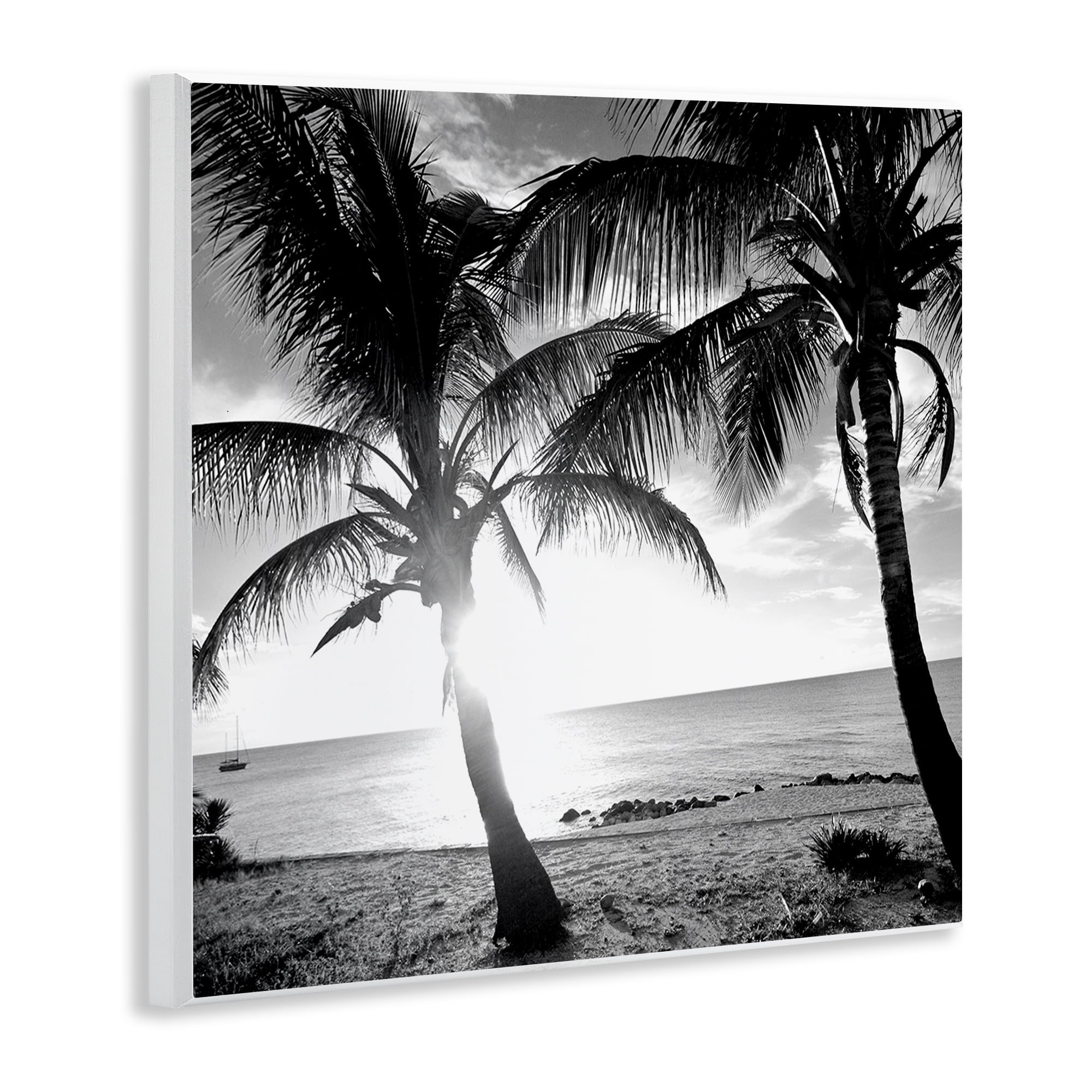Stupell Industries Sunlit Palm Silhouettes Coastal Photography Unframed Art Print Wall Art, 12 x 12