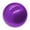 Purple, variant on Spencer Mini Exercise Barre Ball, 10 Inch Small Barre Pilates Ball & Gymnic Over Ball for for Yoga, Exercise, Balance, Core Training & Physical Therapy