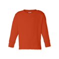 thumbnail image 1 of T-Shirts - Long Sleeve Toddler Long Sleeve Cotton Jersey Tee, 1 of 5
