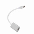 thumbnail image 1 of USB C to Mini DisplayPort Adapter 4K HD 10Gbps  with USB C, Connect to Display TV Projector, 1 of 7