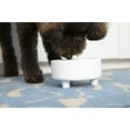 thumbnail image 4 of Waggo Uplift Cuenco De Cerámica Para Perros Para Razas Pequeñas, Medianas Y Grandes, Pesado Y Duradero, Plato De Comida Y Agua Para Mascotas, Apto Para Lavavajillas, Comedero Elevado Moderno (Terracot, 4 of 5