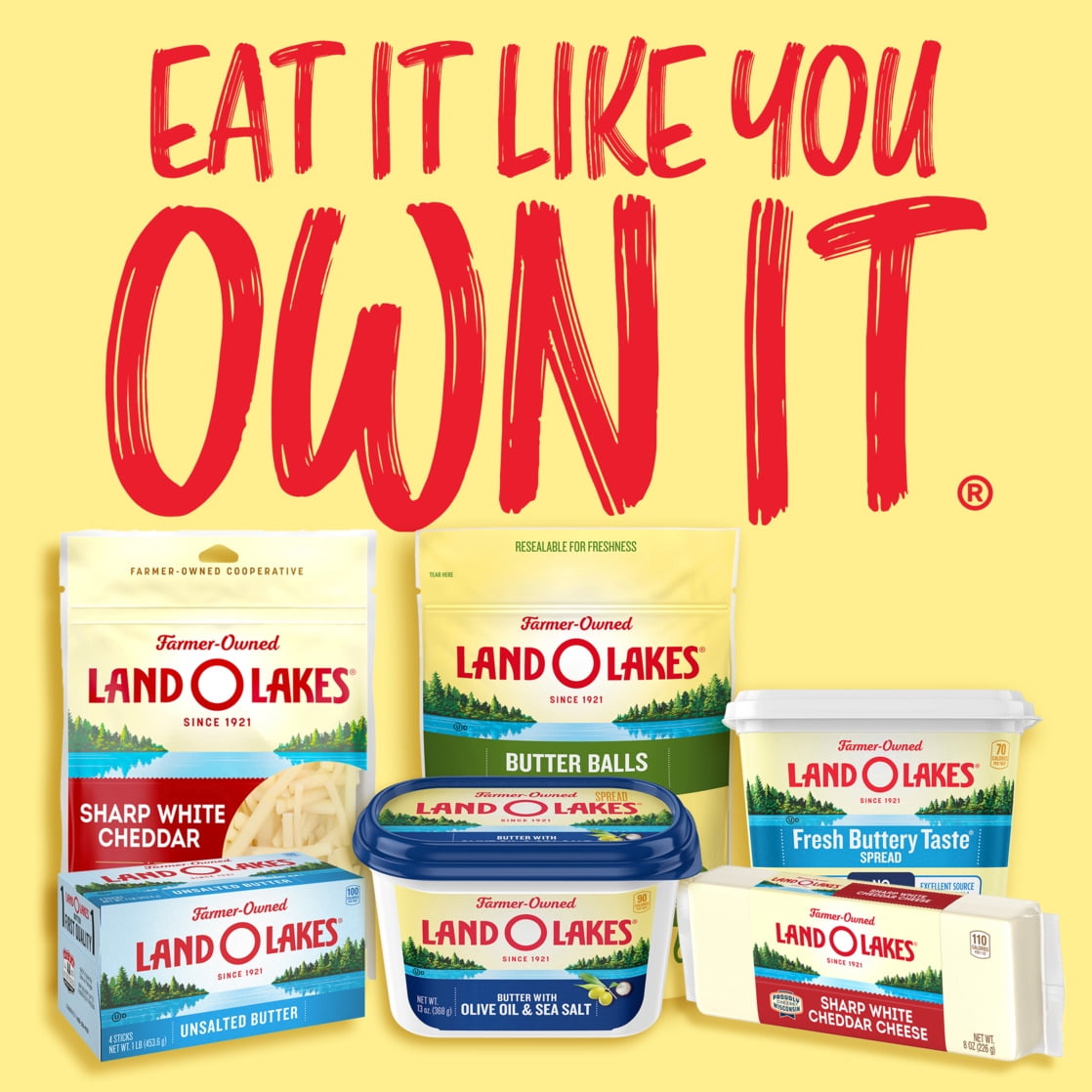 Land O Lakes Unsalted Butter in Half Sticks, Half Philippines Ubuy - Main Image