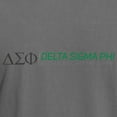 thumbnail image 3 of CafePress - Delta Sigma Phi Color Logo T Shirt - Mens Comfort Colors Shirt, 3 of 5