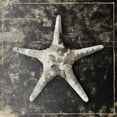 thumbnail image 3 of Selkirk, Edward 15x15 Black Modern Framed Museum Art Print Titled - Marble Shell Series III, 3 of 5