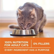 Purina ONE, Healthy Weight Plus Ideal Weight With Chicken Dry Cat Food High Protein, Weight Control Formula, 16 lb Bag