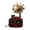 Brown, variant on SDFGTstore Classical Mini Gramophone Music Box With Hand Crank For Elegant Room Decoration Accent