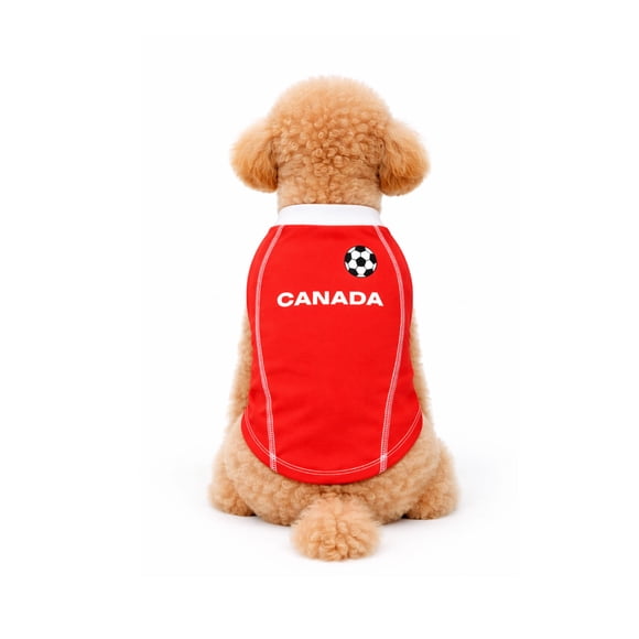 One Paw, maillot de football Canada, plusieurs équipes et tailles disponibles, bleu clair, unisexe, maillot court, pour chiens