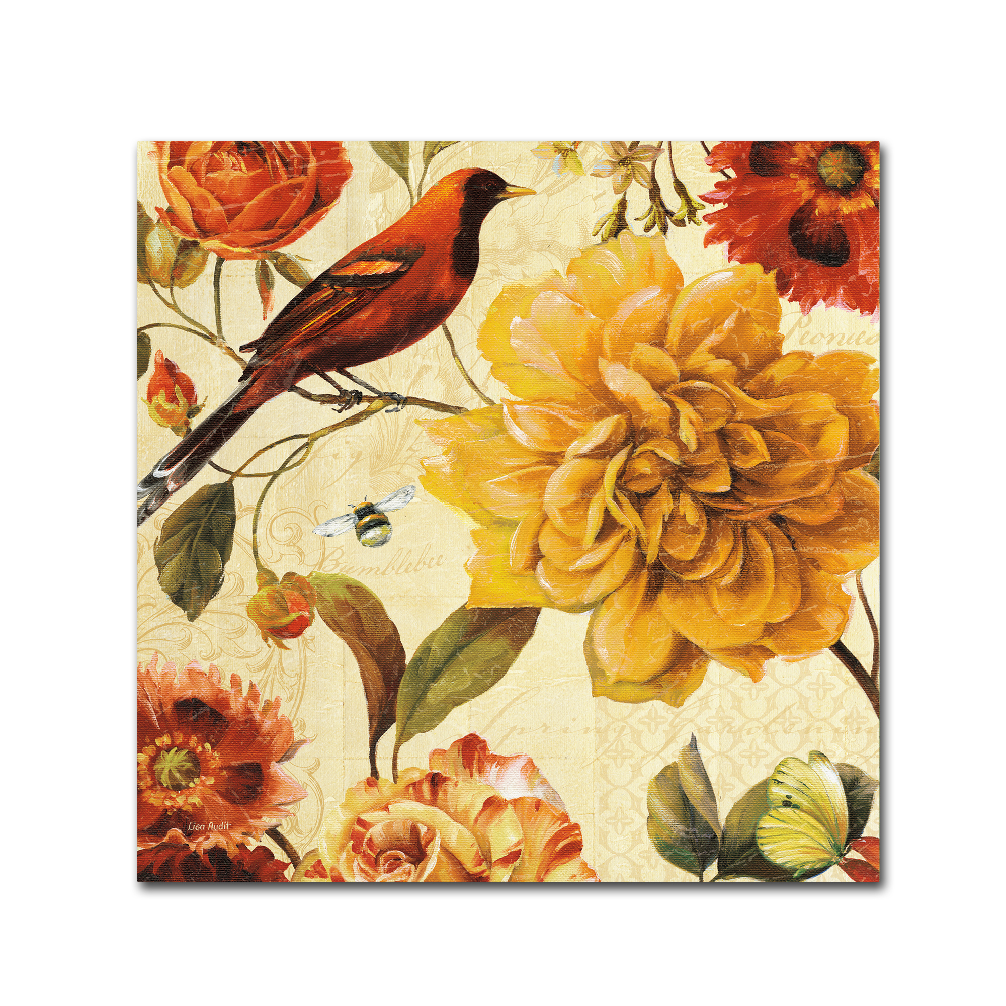 Trademark Fine Art "Rainbow Garden Spice II" Canvas Art by Lisa Audit