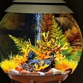 thumbnail image 6 of biOrb Aquarium Plants Autumn Fern Set of 2 - Plastic, Medium, Red & Yellow, 6 of 8