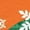 HEATHER ORANGE, variant on Pokémon - Bulba Pattern - Youth Short Sleeve Graphic T-Shirt