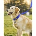thumbnail image 3 of Collar para perros Joytale acolchado de neopreno ajustable para perros grandes, 3 of 5