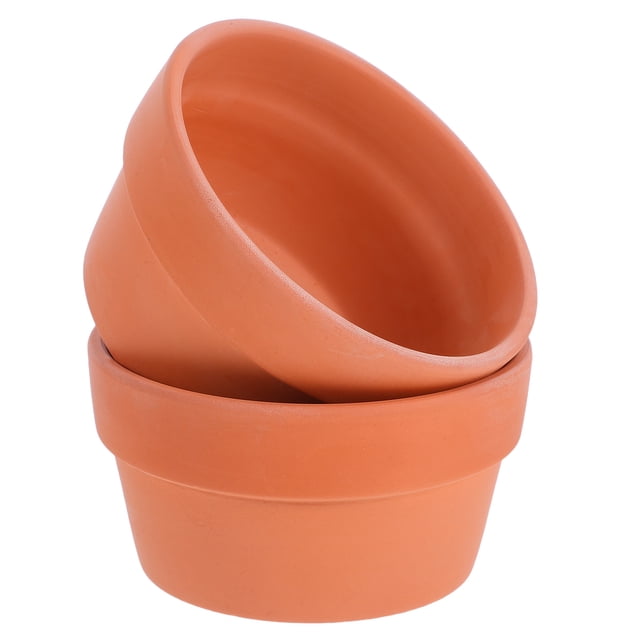 2 macetas de terracota para cactus y suculentas, pequeñas, con orificio de drenaje.